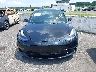 5YJ3E1EA0PF****** Salvage 2023 Tesla Model 3 in New Jersey State