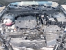 5NTJBDAE1PH****** Repairable 2023 Hyundai Santa Cruz in Raleigh