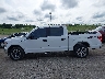 1FTEW1EP6LF****** Salvage 2020 Ford F-150