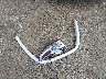 2T3BFREV5FW****** Wrecked 2015 Toyota RAV4 in Massachusetts State