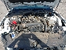 1FA6P8TH4S5****** Reparables 2025 Ford Mustang en Tucson