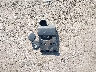 SALGS2PF1GA****** Wrecked 2016 Land Rover Range Rover in Indiana State
