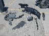 WBAUN13598V****** Wrecked 2008 BMW 1 Series in California State