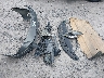 KMHLS4DG4SU****** Wrecked 2025 Hyundai Elantra in Florida State