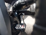 5FNRL5H63DB****** Salvamento 2013 Honda Odyssey en Estado de Georgia