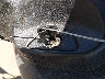 JH2MF06155K****** Salvamento 2005 Honda NSS250 (Reflex) en Estado de Arizona