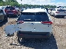 4T3B6RFV1RU****** Salvage 2024 Toyota RAV4 Hybrid