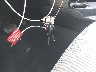 2T3WFREV7DW****** Salvage 2013 Toyota RAV4 in Texas State