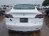 5YJ3E1EA7PF****** Usados 2023 Tesla Model 3
