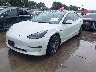 5YJ3E1EA7PF****** Usados y Reparables 2023 Tesla Model 3 en Austin