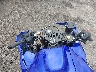 JYARM60E4TA****** Salvage 2026 Yamaha YZF-R7 in Rec Rides Online Exclusive