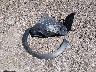 JM1DKFC74G0****** Destrozados 2016 Mazda CX-3 en Estado de New Hampshire