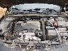 1G1ZB5STXKF****** Repairable 2019 Chevrolet Malibu in Springfield