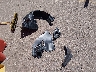 3FA6P0T98GR****** Wrecked 2016 Ford Fusion in Colorado State