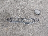 2C3CDZFJ1JH****** Wrecked 2018 Dodge Challenger in Illinois State