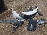 3N1CN8DV5SL****** Wrecked 2025 Nissan Versa in Texas State