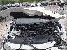 19XFC2F83LE****** Reparables 2020 Honda Civic en Pensacola
