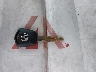 19UUA66295A****** Salvage 2005 Acura TL in Georgia State