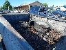 1GCEK14R8TE****** Wrecked 1996 Chevrolet C/K in Portland South