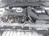KM8K5CA53LU****** Repairable 2020 Hyundai Kona in Albany