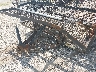 1M9BU1822AM****** Reparables 2010 Other Other en Estado de Luisiana