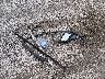 5GAERBKW0LJ****** Wrecked 2020 Buick Enclave in Missouri State