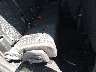 3C4PDDAG4ET****** Wrecked 2014 Dodge Journey in Denver East