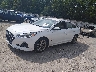 5NPE34AF8JH****** Usados y Reparables 2018 Hyundai Sonata en Knoxville