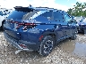5NMJCCDE5SH****** Salvamento y Destrozados 2025 Hyundai Tucson en Estado de Illinois
