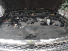 1GCVKREC8EZ****** Repairable 2014 Chevrolet Silverado 1500 in Suffolk