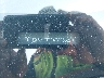 5YJ3E1EA3PF****** Usados 2023 Tesla Model 3 en Fremont