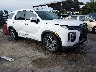 KM8R4DGE5RU****** Salvamento y Destrozados 2024 Hyundai Palisade en Baltimore