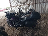 1HD1YBK33KC****** Destrozados 2019 Harley-Davidson Heritage Classic 114 en Estado de Michigan