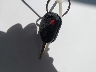 1FAHP3FN5AW****** Salvamento 2010 Ford Focus en Estado de California