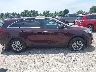 5XYPG4A51LG****** Reparables 2020 Kia Sorento en Estado de Kentucky