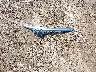 4T1BK1EB6EU****** Wrecked 2014 Toyota Avalon in Texas State