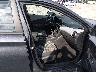 KM8K1CAA0KU****** Used and Repairable 2019 Hyundai Kona in West Virginia State