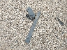 1C4NJCCB7ED****** Wrecked 2014 Jeep Compass in Texas State