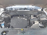 5XYP5DHC2NG****** Repairable 2022 Kia Telluride in Corpus Christi