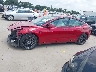 5YJ3E1EA1PF****** Salvamento 2023 Tesla Model 3