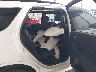 1C4RDHDG4PC****** Destrozados 2023 Dodge Durango en Fort Worth North