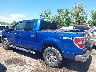 1FTEW1E86AF****** Salvage 2010 Ford F-150