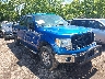 1FTEW1E86AF****** Salvage and Wrecked 2010 Ford F-150 in Cleveland