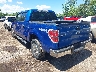 1FTEW1E86AF****** Salvage and Repairable 2010 Ford F-150 in Cleveland