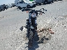 JYAVN05Y9PA****** Usados y Reparables 2023 Yamaha Xvs950 en Estado de California
