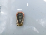 1G1ZE5ST5GF****** Salvamento 2016 Chevrolet Malibu en Estado de Carolina del Sur