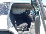 5FNYF5H30MB****** Wrecked 2021 Honda Pilot in Phoenix