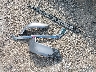 1C6RREBG1RN****** Wrecked 2024 RAM 1500 in Texas State