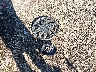 KNDJ23AU0M7****** Wrecked 2021 Kia Soul in Ohio State