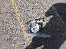 1GCPDEEK6RZ****** Wrecked 2024 Chevrolet Silverado 1500 in Colorado State